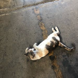 Meet your Posher, Eunji